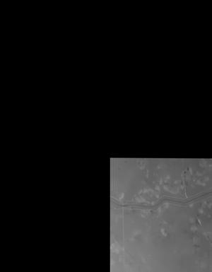 Thumbnail JPG image Thumbnail JPG image