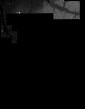 Thumbnail JPG image Thumbnail JPG image