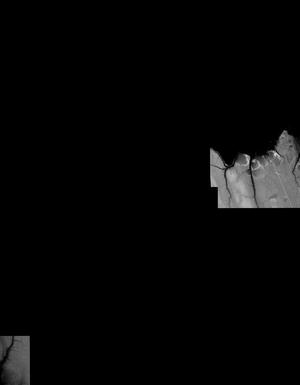 Thumbnail JPG image Thumbnail JPG image