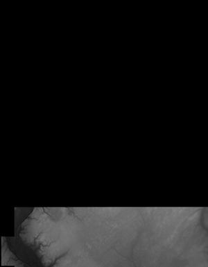 Thumbnail JPG image Thumbnail JPG image