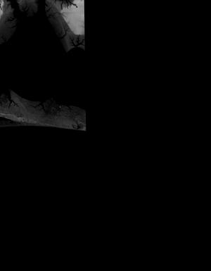 Thumbnail JPG image Thumbnail JPG image