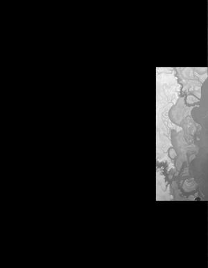 Thumbnail JPG image Thumbnail JPG image