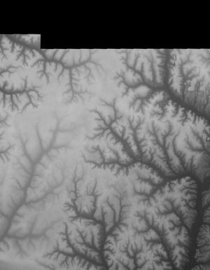 Thumbnail JPG image Thumbnail JPG image