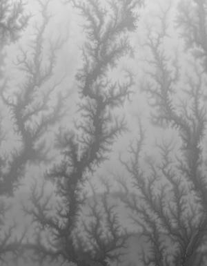 Thumbnail JPG image Thumbnail JPG image