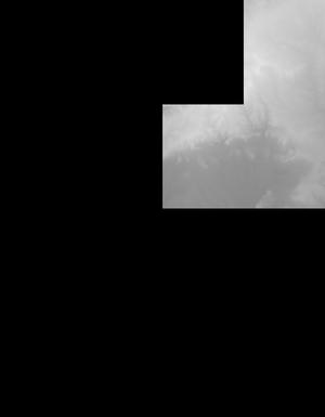 Thumbnail JPG image Thumbnail JPG image