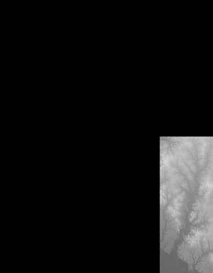 Thumbnail JPG image Thumbnail JPG image