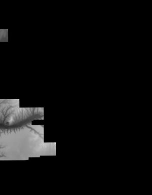 Thumbnail JPG image Thumbnail JPG image