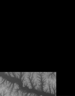 Thumbnail JPG image Thumbnail JPG image