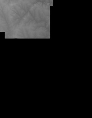 Thumbnail JPG image Thumbnail JPG image