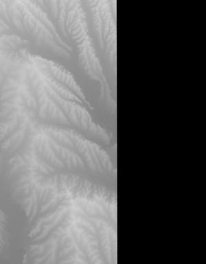 Thumbnail JPG image Thumbnail JPG image