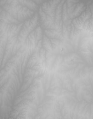 Thumbnail JPG image Thumbnail JPG image