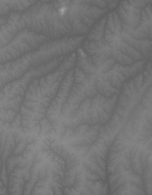 Thumbnail JPG image Thumbnail JPG image