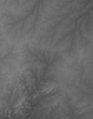 Thumbnail JPG image Thumbnail JPG image