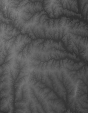 Thumbnail JPG image Thumbnail JPG image