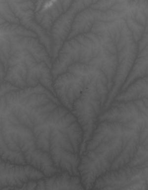 Thumbnail JPG image Thumbnail JPG image