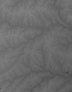 Thumbnail JPG image Thumbnail JPG image