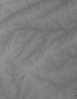 Thumbnail JPG image Thumbnail JPG image