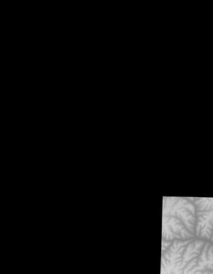 Thumbnail JPG image Thumbnail JPG image