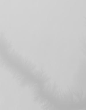 Thumbnail JPG image Thumbnail JPG image