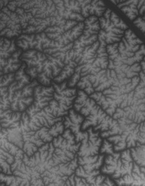 Thumbnail JPG image Thumbnail JPG image