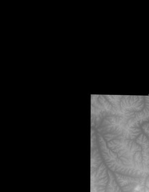 Thumbnail JPG image Thumbnail JPG image