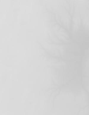 Thumbnail JPG image Thumbnail JPG image