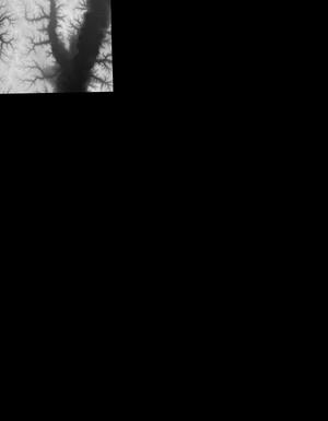 Thumbnail JPG image Thumbnail JPG image