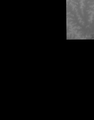 Thumbnail JPG image Thumbnail JPG image
