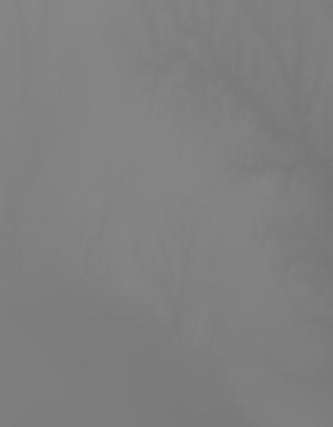 Thumbnail JPG image Thumbnail JPG image