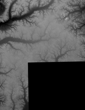 Thumbnail JPG image Thumbnail JPG image