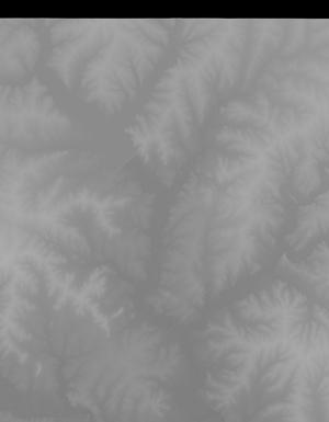 Thumbnail JPG image Thumbnail JPG image