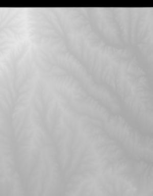 Thumbnail JPG image Thumbnail JPG image
