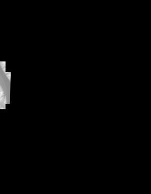 Thumbnail JPG image Thumbnail JPG image