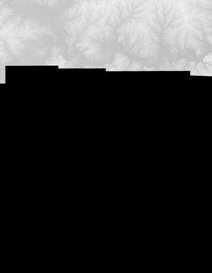 Thumbnail JPG image Thumbnail JPG image
