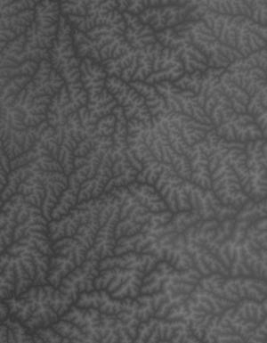 Thumbnail JPG image Thumbnail JPG image