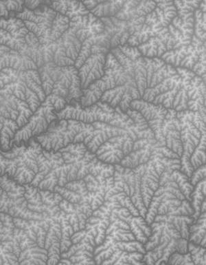 Thumbnail JPG image Thumbnail JPG image
