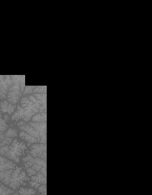 Thumbnail JPG image Thumbnail JPG image
