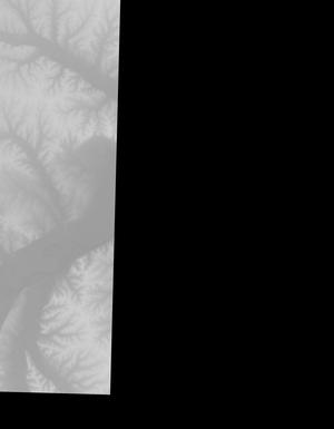 Thumbnail JPG image Thumbnail JPG image