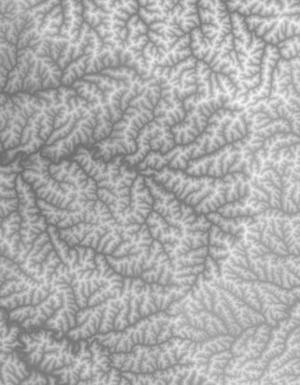 Thumbnail JPG image Thumbnail JPG image