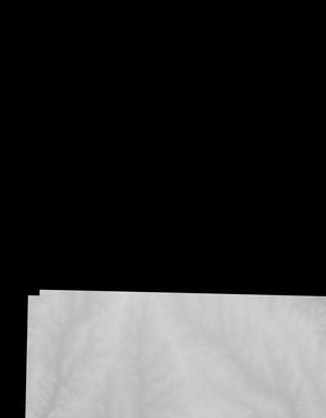 Thumbnail JPG image Thumbnail JPG image