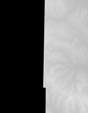 Thumbnail JPG image Thumbnail JPG image