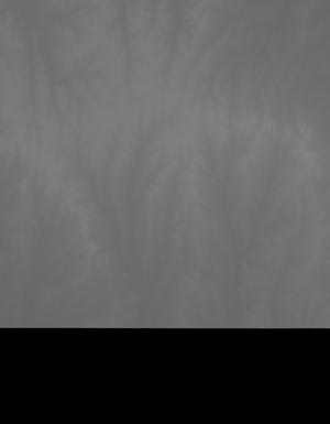 Thumbnail JPG image Thumbnail JPG image