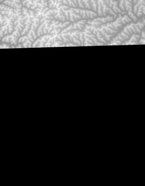 Thumbnail JPG image Thumbnail JPG image