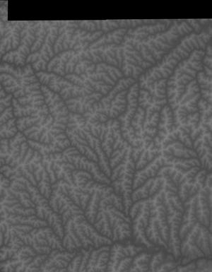 Thumbnail JPG image Thumbnail JPG image