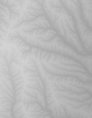Thumbnail JPG image Thumbnail JPG image