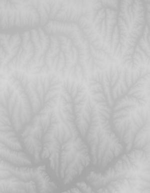 Thumbnail JPG image Thumbnail JPG image