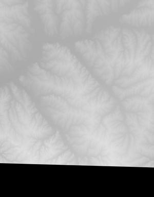 Thumbnail JPG image Thumbnail JPG image