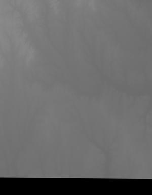 Thumbnail JPG image Thumbnail JPG image