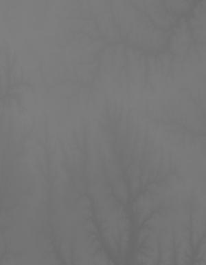 Thumbnail JPG image Thumbnail JPG image