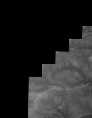 Thumbnail JPG image Thumbnail JPG image